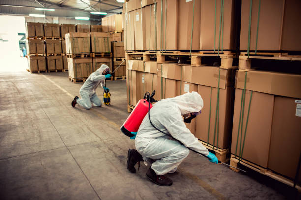 Best Affordable Pest Control Services  in Piney, AR