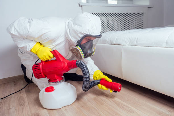 Pest Prevention Services in Piney, AR