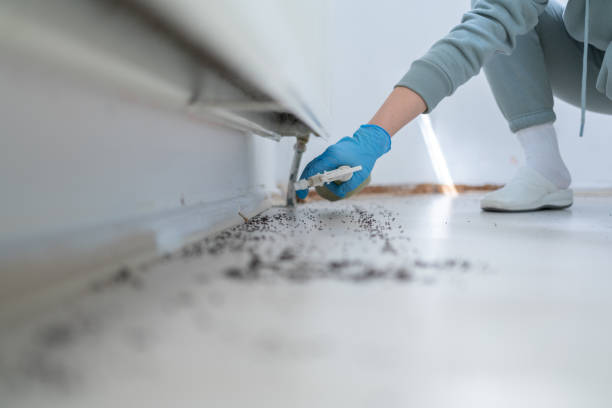 Best Commercial Pest Control Services  in Piney, AR